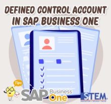 Cara Menentukan Control Account pada SAP Business One