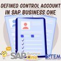 How to Defined Control Account in SAP Business One