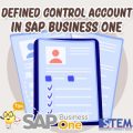 How to Defined Control Account in SAP Business One
