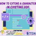 SAP B1 Tips Extend Character in Existing UDF
