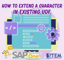 SAP B1 Tips Extend Character in Existing UDF