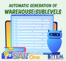 SAP B1 Tips Automatic Generation of Warehouse Sublevels