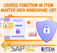 Fungsi Locked pada List Warehouse Item Master Data