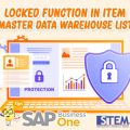 SAP B1 Tips Locked Function in Master Data