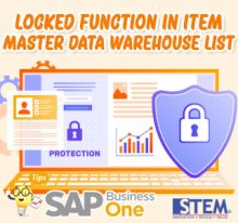 SAP B1 Tips Locked Function in Master Data