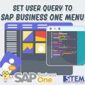 SAP B1 Tip Set User Query to SAP Menu