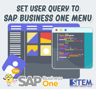 SAP B1 Tip Set User Query to SAP Menu