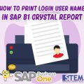 Print Login User Name in SAP Business One Crystal Report