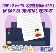 Print Login User Name in SAP Business One Crystal Report