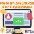 How to Get Login User Code in SAP Business One Query Manager