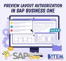 SAP Business One Preview Layout