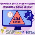 permission error customer aging report