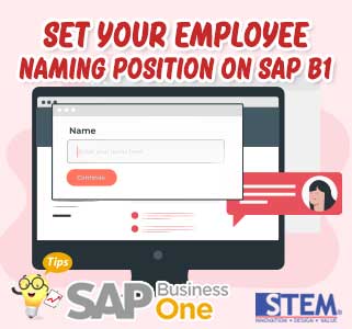 Tetapkan Posisi Penamaan Karyawan Anda di SAP Business One