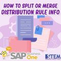 Cara Efektif Pisahkan & Gabungkan Distribution Rule SAP B1