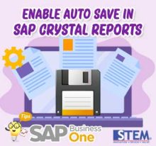 Mengaktifkan Fitur Auto Save di SAP Crystal Reports