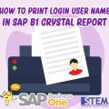 Cara Print Login User Name pada SAP Business One Crystal Report