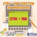 Fungsi CTRL + TAB pada Warehouse di SAP Business One