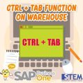 ctrl tab on warehouse