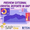 Preview External Crystal Reports Di SAP Business One