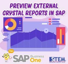 Preview External Crystal Reports Di SAP Business One