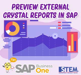 Preview External Crystal Reports Di SAP Business One