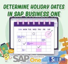 Menentukan Tanggal Libur pada SAP Business One