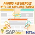 adding references with the SAP links feature