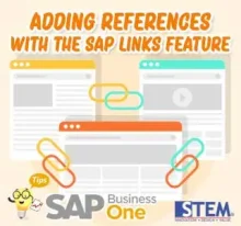adding references with the SAP links feature