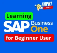 Belajar SAP Business One Pemula