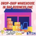 drop ship warehouse in sap business one