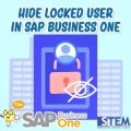 hide locked user in sap business one