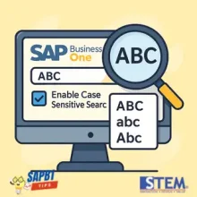 Optimize SAP B1 Data Search with Case-Sensitive Option