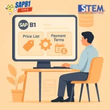 Set Default Price-List Terpisah dari Syarat Pembayaran di SAP Business One