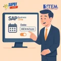 Cara Mengubah Date Separator di SAP Business One