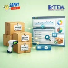 Managing Items with Serial Numbers in SAP Business One