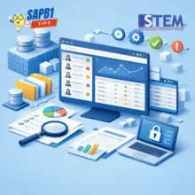 Query Report User Action Log di SAP Business One