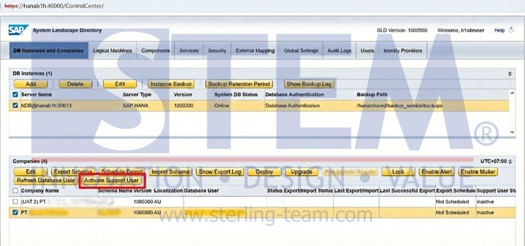 How to Activate the Support User in SAP Business One