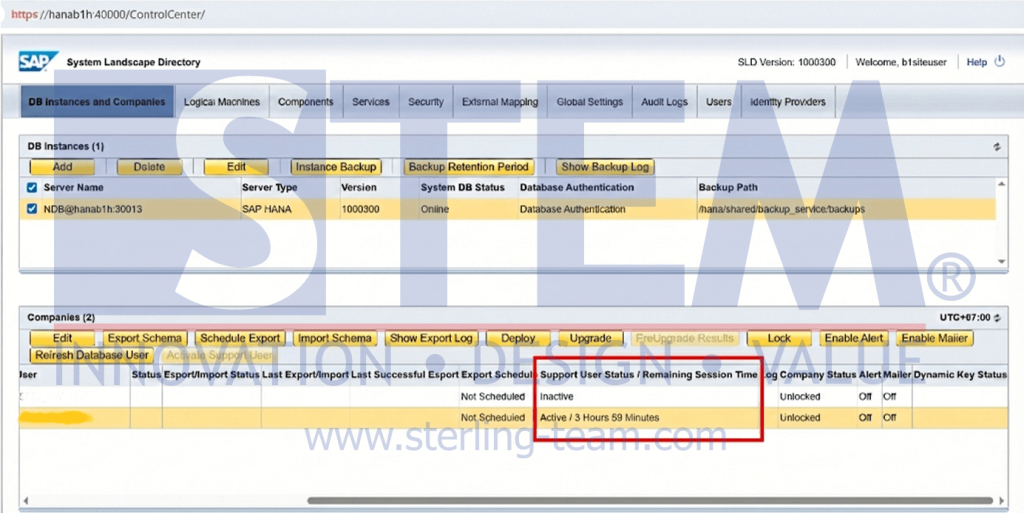 How to Activate the Support User in SAP Business One