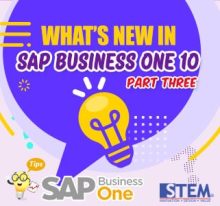 Fitur Baru SAP Business One 10: Bagian 3 – Local & Produksi