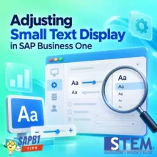 Adjusting Small Text Display in SAP Business One