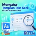 Mengatasi Tulisan Terlalu Kecil pada Tampilan SAP Business One