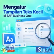 Mengatasi Tulisan Terlalu Kecil pada Tampilan SAP Business One
