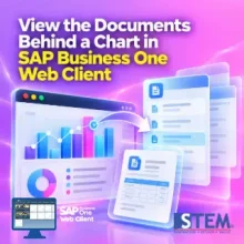 View the Documents Behind a Chart in SAP Business One Web Client