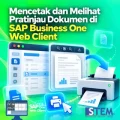Cara Print dan Preview Dokumen di SAP Business One Web Client