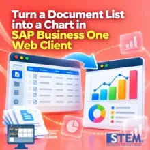 Turn a Document List into a Chart in SAP Business One Web Client